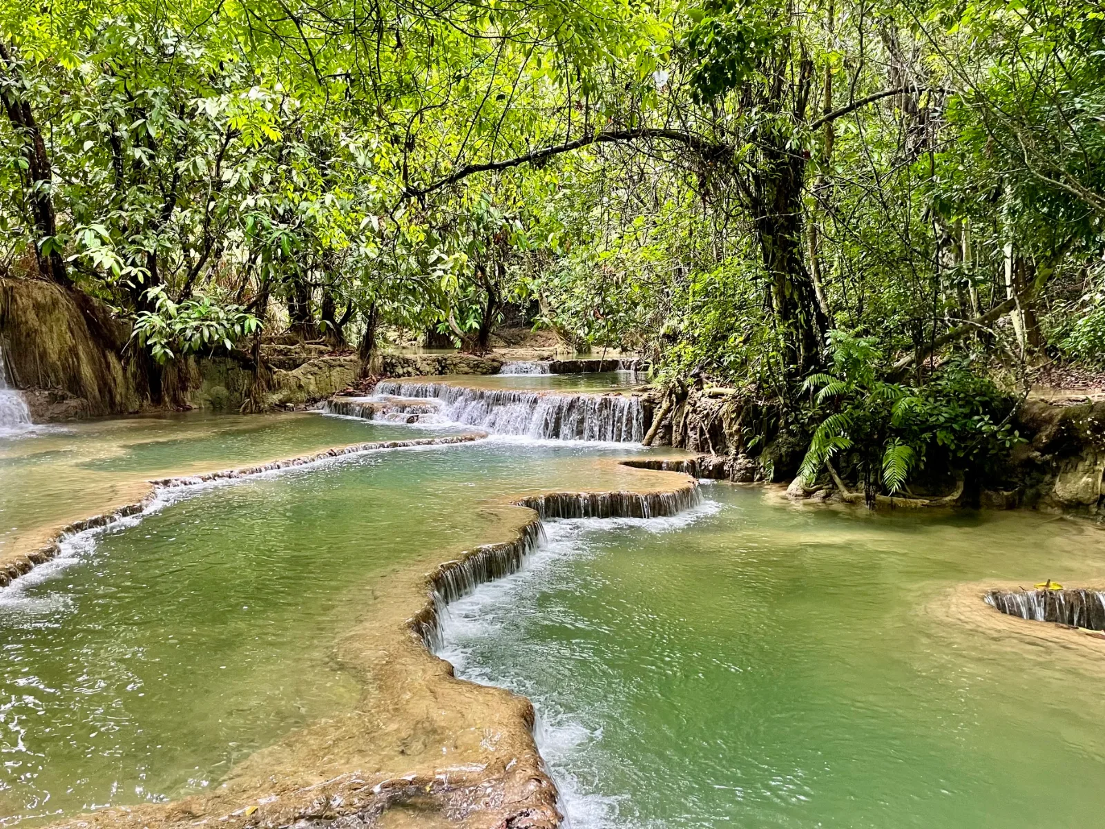 One of the green pools at the Kuang Si waterfalls in Laos