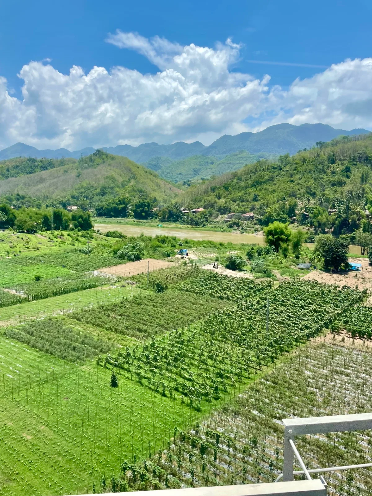 Green farms under high mountains in Laos