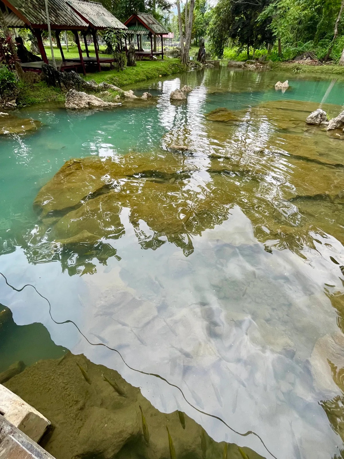 Crystal clear waters at a blue lagoon outside of Vang Vieng Laos